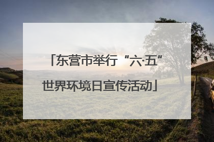东营市举行“六·五”世界环境日宣传活动