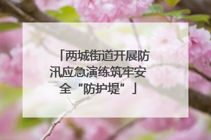 两城街道开展防汛应急演练筑牢安全“防护堤”