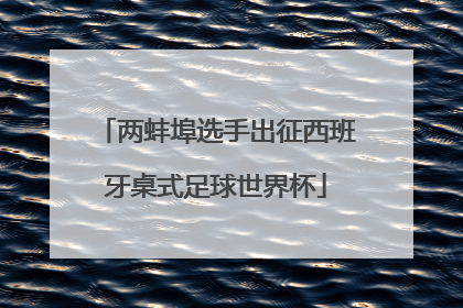 两蚌埠选手出征西班牙桌式足球世界杯