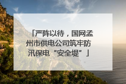 严阵以待，国网孟州市供电公司筑牢防汛保电“安全堤”