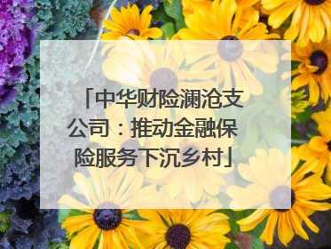 中华财险澜沧支公司：推动金融保险服务下沉乡村