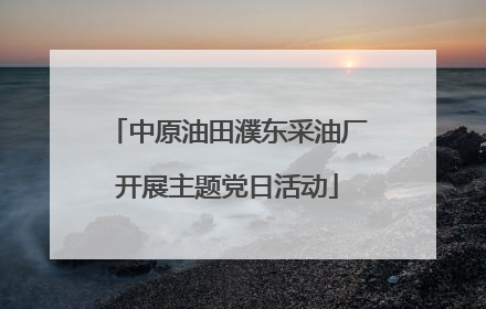 中原油田濮东采油厂开展主题党日活动