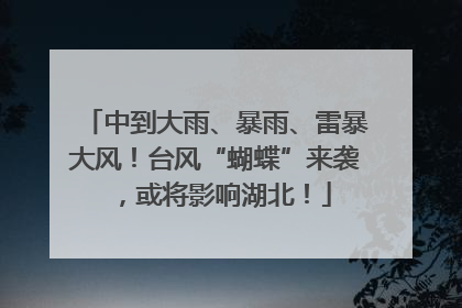 中到大雨、暴雨、雷暴大风！台风“蝴蝶”来袭，或将影响湖北！