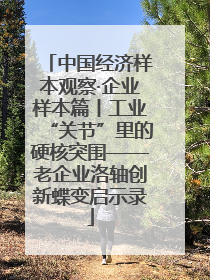 中国经济样本观察·企业样本篇丨工业“关节”里的硬核突围——老企业洛轴创新蝶变启示录
