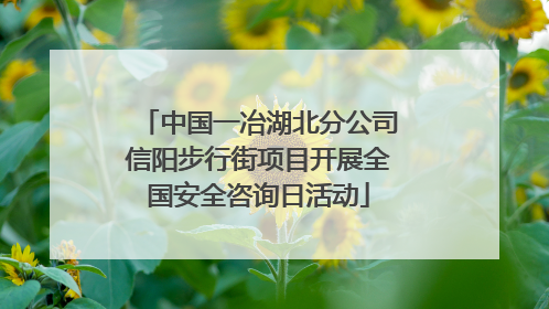 中国一冶湖北分公司信阳步行街项目开展全国安全咨询日活动