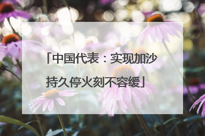 中国代表：实现加沙持久停火刻不容缓