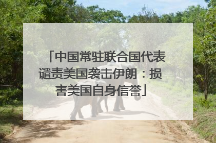 中国常驻联合国代表谴责美国袭击伊朗：损害美国自身信誉