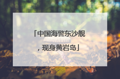 中国海警东沙舰，现身黄岩岛