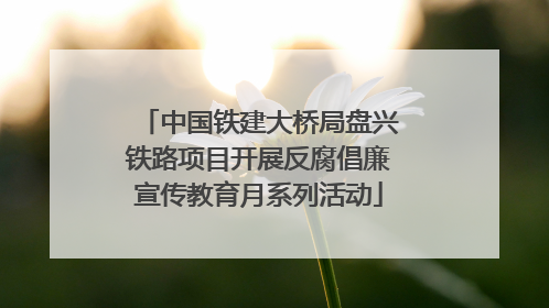 中国铁建大桥局盘兴铁路项目开展反腐倡廉宣传教育月系列活动