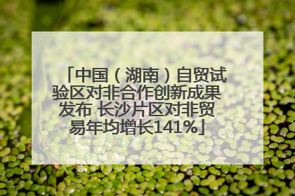中国（湖南）自贸试验区对非合作创新成果发布 长沙片区对非贸易年均增长141%