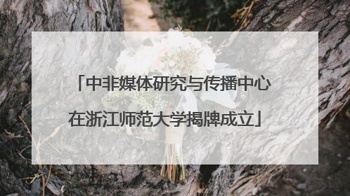 中非媒体研究与传播中心在浙江师范大学揭牌成立