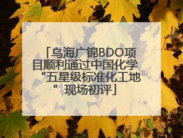 乌海广锦BDO项目顺利通过中国化学“五星级标准化工地”现场初评