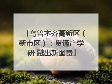 乌鲁木齐高新区（新市区）：贯通产学研 融出新图景