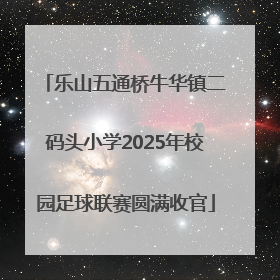 乐山五通桥牛华镇二码头小学2025年校园足球联赛圆满收官