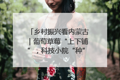 乡村振兴看内蒙古｜葡萄草莓“上下铺”，科技小院“种”出三倍效益