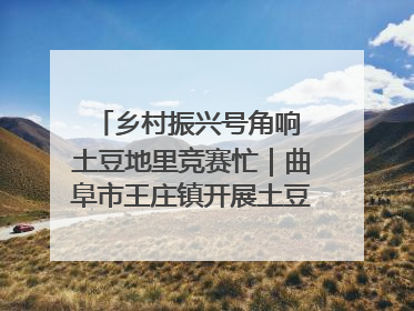 乡村振兴号角响 土豆地里竞赛忙｜曲阜市王庄镇开展土豆收获劳动竞赛