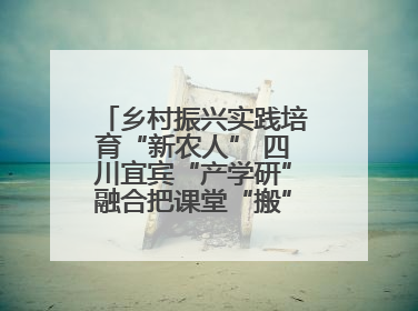 乡村振兴实践培育“新农人” 四川宜宾“产学研”融合把课堂“搬”到田间