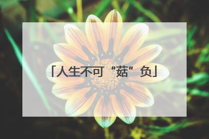 人生不可“菇”负