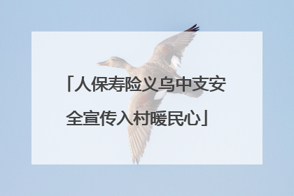 人保寿险义乌中支安全宣传入村暖民心