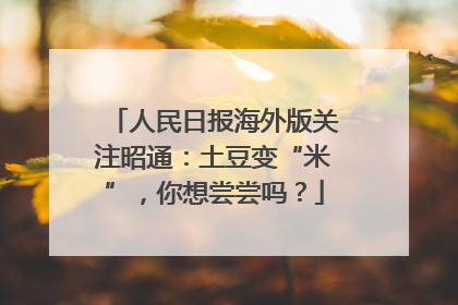 人民日报海外版关注昭通：土豆变“米”，你想尝尝吗？