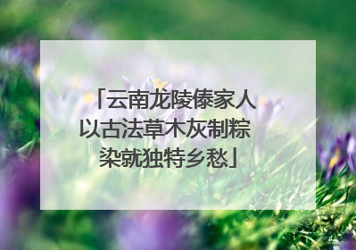 云南龙陵傣家人以古法草木灰制粽 染就独特乡愁