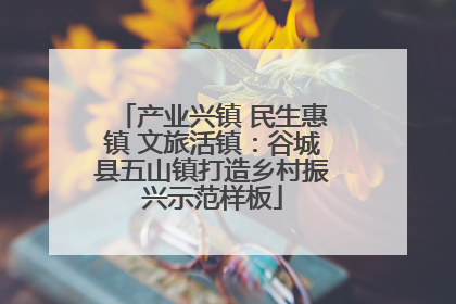 产业兴镇 民生惠镇 文旅活镇：谷城县五山镇打造乡村振兴示范样板