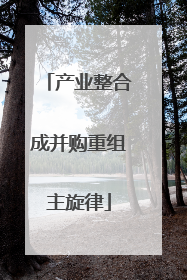 产业整合成并购重组主旋律