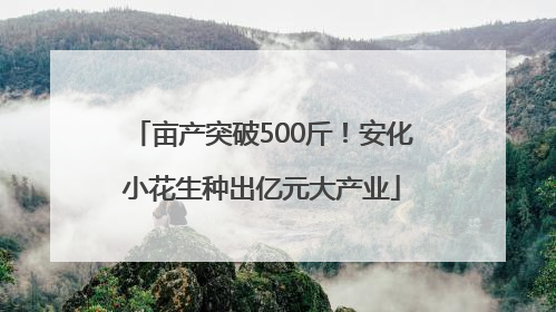 亩产突破500斤！安化小花生种出亿元大产业