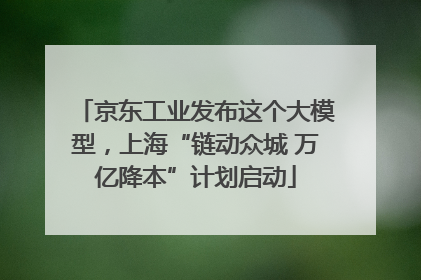 京东工业发布这个大模型，上海“链动众城 万亿降本”计划启动