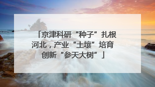 京津科研“种子”扎根河北，产业“土壤”培育创新“参天大树”