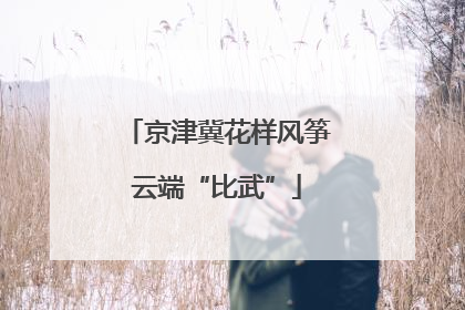 京津冀花样风筝云端“比武”