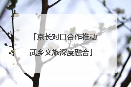 京长对口合作推动武乡文旅深度融合
