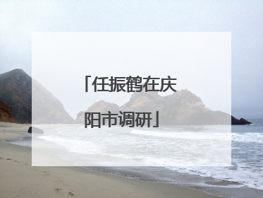 任振鹤在庆阳市调研