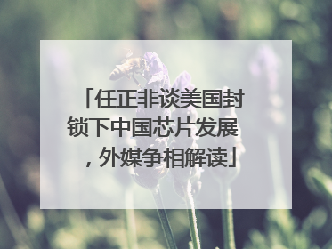 任正非谈美国封锁下中国芯片发展，外媒争相解读