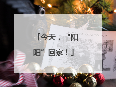 今天，“阳阳”回家！
