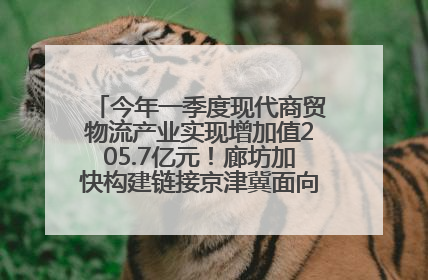 今年一季度现代商贸物流产业实现增加值205.7亿元！廊坊加快构建链接京津冀面向全世界的物流通道