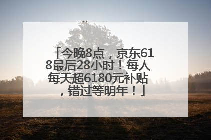 今晚8点，京东618最后28小时！每人每天超6180元补贴，错过等明年！
