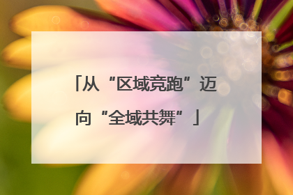 从“区域竞跑”迈向“全域共舞”