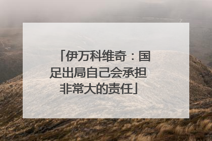 伊万科维奇：国足出局自己会承担非常大的责任