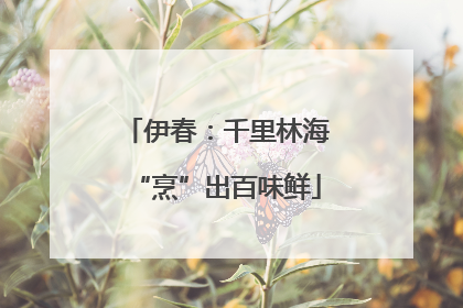 伊春：千里林海“烹”出百味鲜
