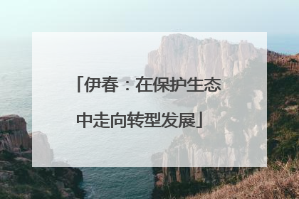伊春：在保护生态中走向转型发展