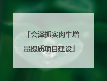 会泽抓实肉牛增量提质项目建设