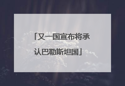 又一国宣布将承认巴勒斯坦国