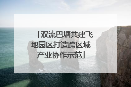 双流巴塘共建飞地园区打造跨区域产业协作示范