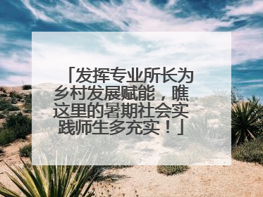 发挥专业所长为乡村发展赋能，瞧这里的暑期社会实践师生多充实！