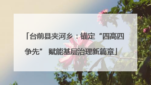 台前县夹河乡：锚定“四高四争先” 赋能基层治理新篇章