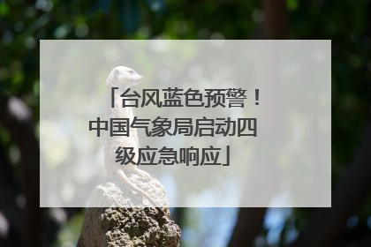 台风蓝色预警！中国气象局启动四级应急响应