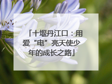 十堰丹江口：用爱“电”亮天使少年的成长之路