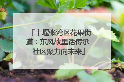 十堰张湾区花果街道：东风故里话传承 社区聚力向未来
