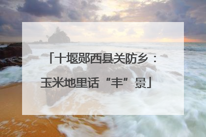 十堰郧西县关防乡：玉米地里话“丰”景